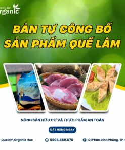 bản tự công bố sản phẩm