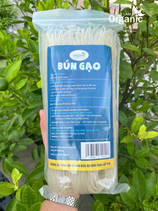 BÚN GẠO QUẾ LÂM - Ảnh 2