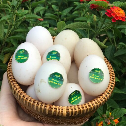TRỨNG VỊT QUẾ LÂM - Ảnh 3