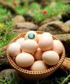 Trứng gà Quế Lâm