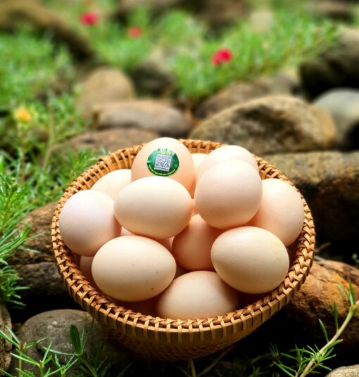 Trứng gà Quế Lâm