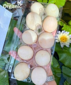 Trứng vịt Quế Lâm