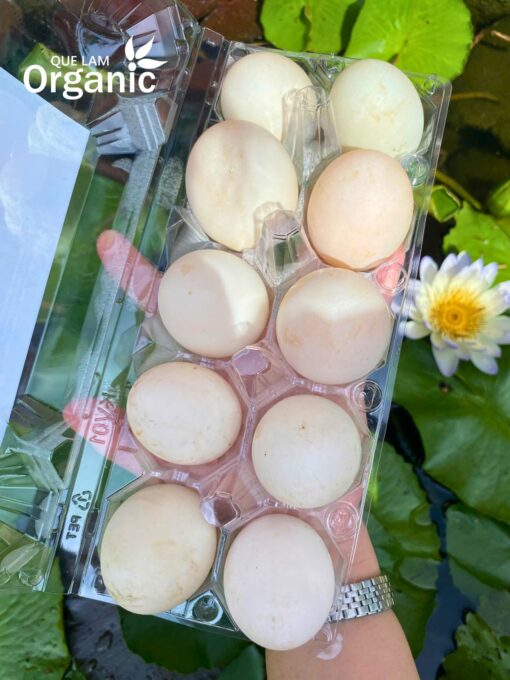 Trứng vịt Quế Lâm