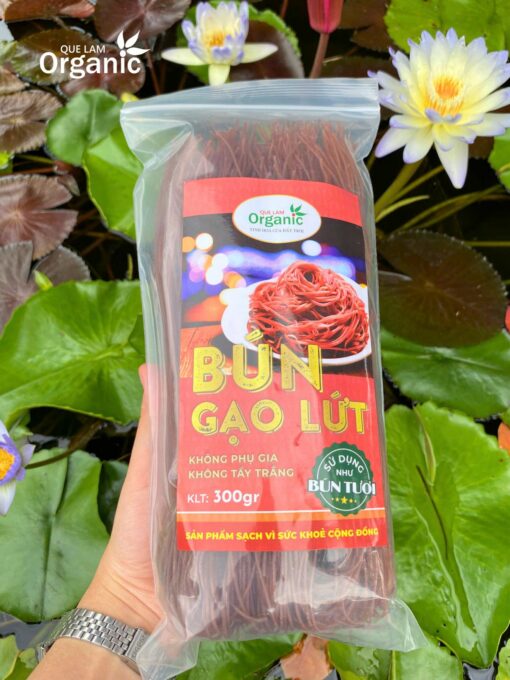 Bún gạo lứt Quế Lâm