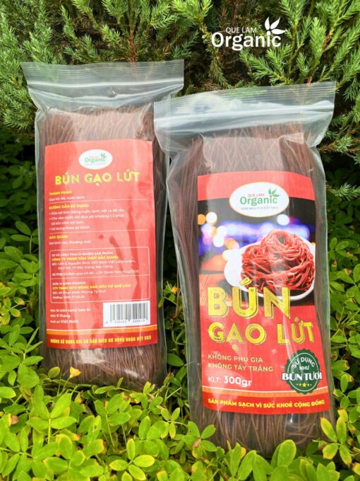 BÚN GẠO LỨT QUẾ LÂM - Ảnh 3