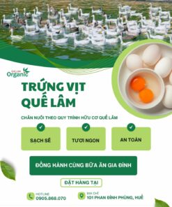 Trứng vịt Quế Lâm