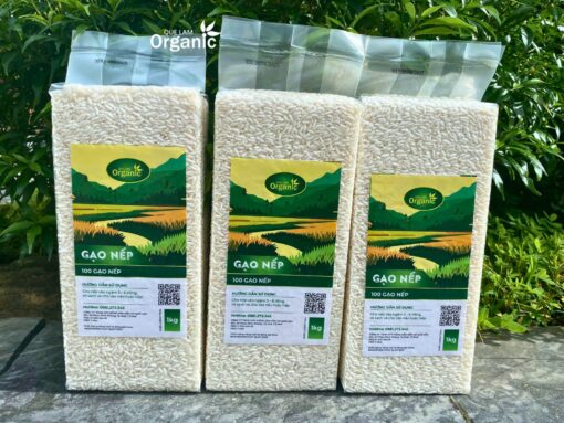 Gạo nếp Quế Lâm